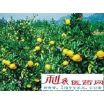 橙皮素